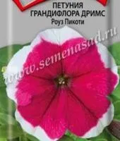 Семена Петунии грандифлора Дримс Роуз Пикоти